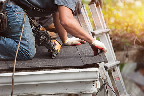 Best Roof Gutter Cleaning  in Bluffton, SC