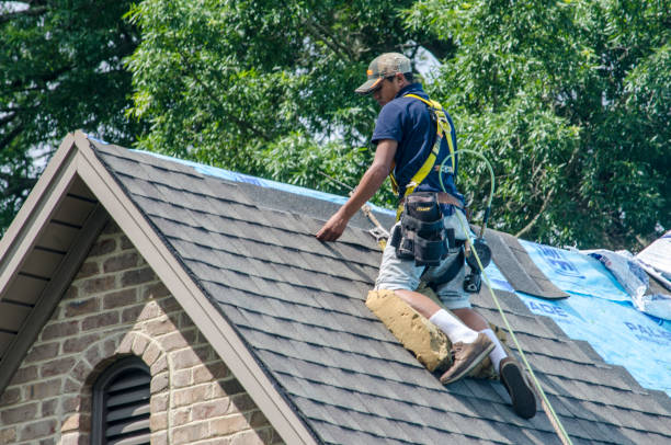 Best Roof Leak Repair  in Bluffton, SC